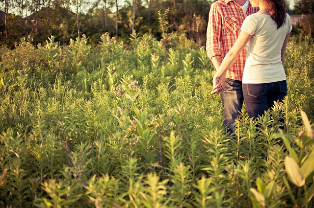 couple, holding hands, field